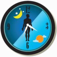Using-Your-Biological-Clock Using-Your-Biological-Clock
